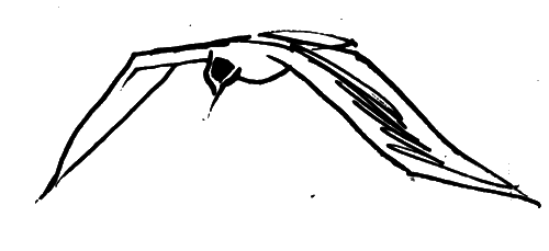 Ладейная кукла (сборник) i_008.png