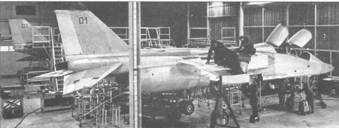 Sepecat «jaguar» pic_4.jpg