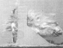 Sepecat «jaguar» pic_40.jpg