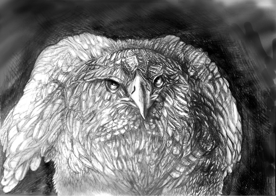 Бури image2_5587d50ce8a7076734572c97_jpg.jpeg
