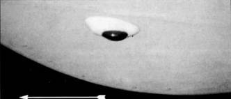 У-2/по-2 pic_166.jpg