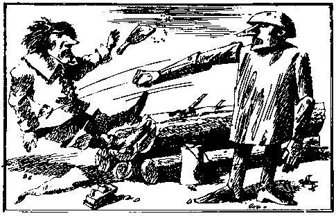 Урфин Джюс и его деревянные солдаты (с илл. ) pic_7.png