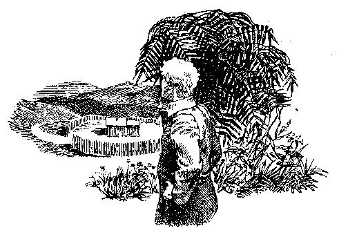 Птица войны pic_3.png