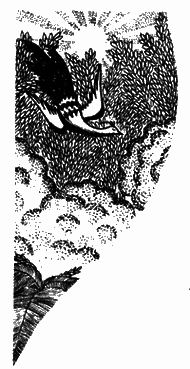 Петербургские апокрифы _20.png
