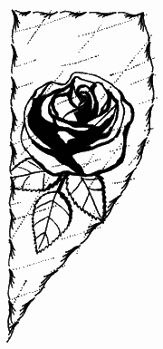 Петербургские апокрифы _34.png