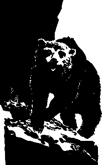Злой дух Ямбуя pic_22.png