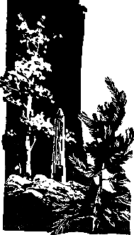 Злой дух Ямбуя pic_26.png
