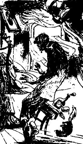 Двенадцать стульев (илл. Е. Шукаева) pic_6.png