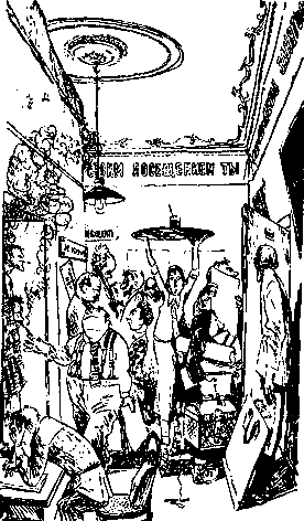 Двенадцать стульев (илл. Е. Шукаева) pic_54.png