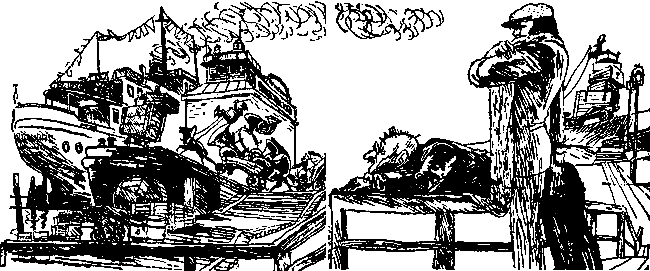 Двенадцать стульев (илл. Е. Шукаева) pic_67.png