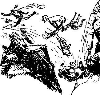 Двенадцать стульев (илл. Е. Шукаева) pic_93.png