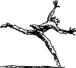 Двенадцать стульев (илл. Е. Шукаева) pic_96.png