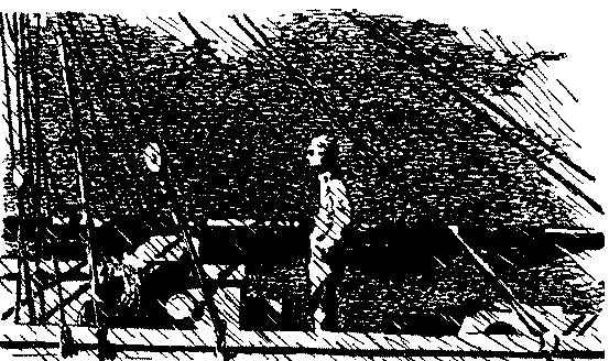 Золотая цепь. Дорога никуда pic_6.png