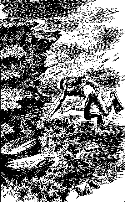 Ядовитые стражи нептуньего царства _7.png