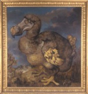 Оксфордские памфлеты. Часть I dodo.jpg_0