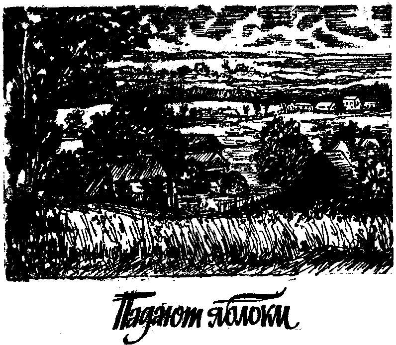 Четвертый разворот (сборник) img_2.png