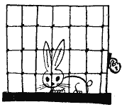 Том 4. Наша Маша. Литературные портреты i_002.png