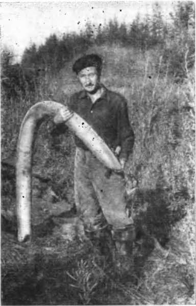 Записки палеонтолога. По следам предков i_039.jpg