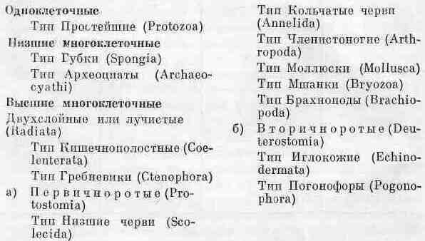 Возникновение и развитие жизни на Земле i_030.jpg