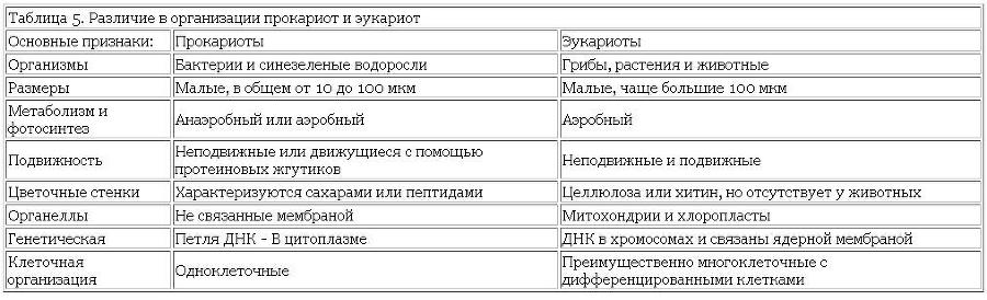 Возникновение и развитие жизни на Земле i_006.jpg