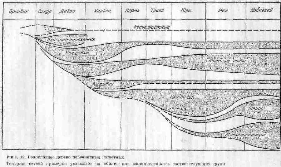 Возникновение и развитие жизни на Земле i_034.jpg