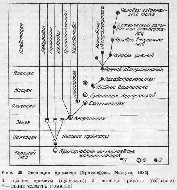 Возникновение и развитие жизни на Земле i_040.jpg