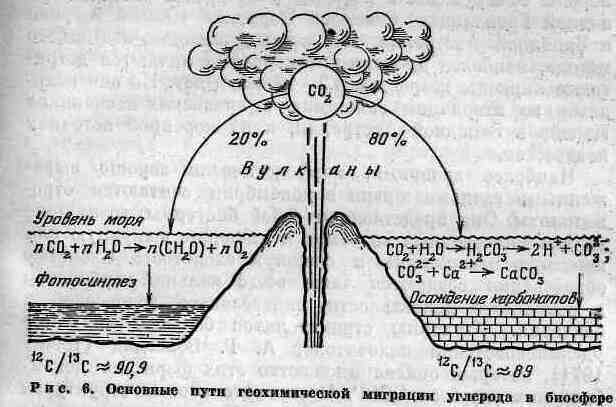 Возникновение и развитие жизни на Земле i_011.jpg