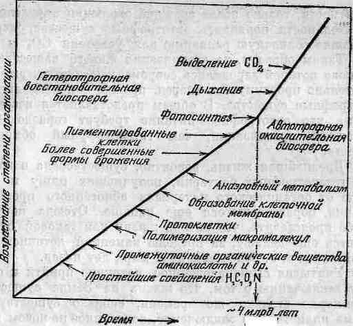 Возникновение и развитие жизни на Земле i_012.jpg
