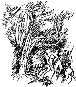 Арка святой Анны i_030.png