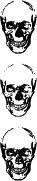 The Dead _5.jpg