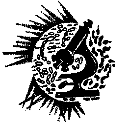 В мире незримого i_001.png
