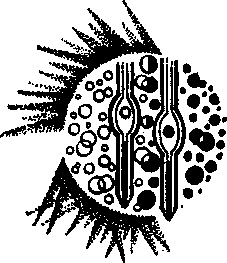 В мире незримого i_004.png