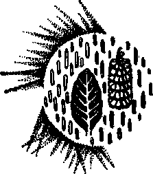 В мире незримого i_002.png