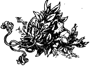 Полые холмы. Жизнь Мерлина i_016.png