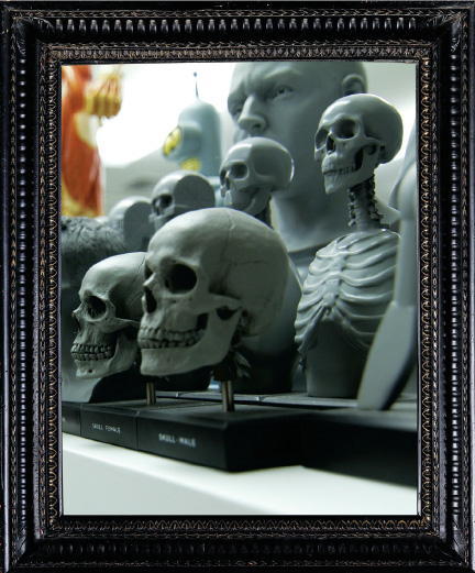 Cabinet of Curiosities: My Notebooks, Collections, and Other Obsessions _47.jpg