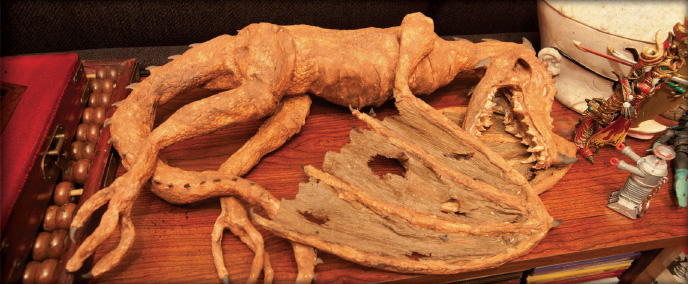 Cabinet of Curiosities: My Notebooks, Collections, and Other Obsessions _11.jpg