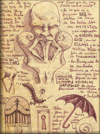 Cabinet of Curiosities: My Notebooks, Collections, and Other Obsessions _8.jpg