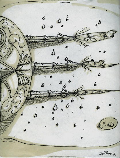 Cabinet of Curiosities: My Notebooks, Collections, and Other Obsessions _90.jpg