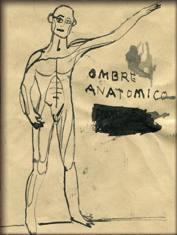 Cabinet of Curiosities: My Notebooks, Collections, and Other Obsessions _116.jpg