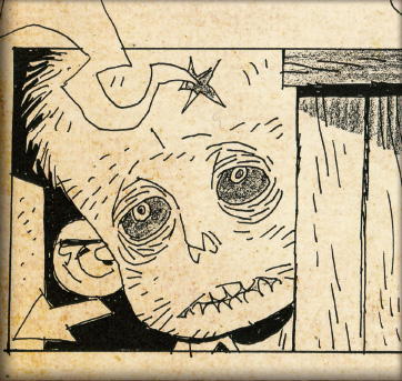 Cabinet of Curiosities: My Notebooks, Collections, and Other Obsessions _119.jpg
