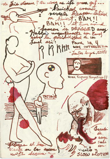 Cabinet of Curiosities: My Notebooks, Collections, and Other Obsessions _157.jpg