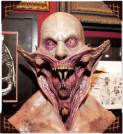 Cabinet of Curiosities: My Notebooks, Collections, and Other Obsessions _163.jpg