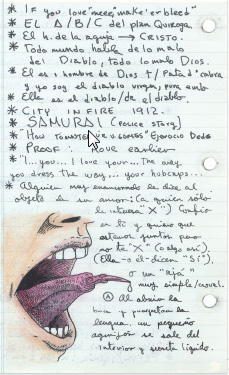 Cabinet of Curiosities: My Notebooks, Collections, and Other Obsessions _167.jpg