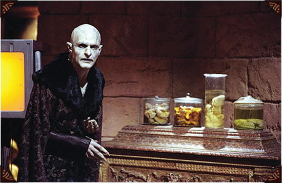 Cabinet of Curiosities: My Notebooks, Collections, and Other Obsessions _169.jpg