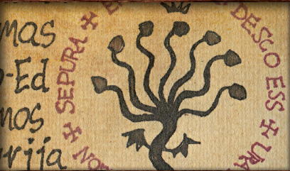 Cabinet of Curiosities: My Notebooks, Collections, and Other Obsessions _172.jpg