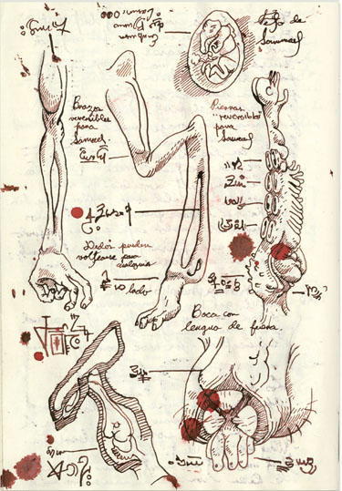 Cabinet of Curiosities: My Notebooks, Collections, and Other Obsessions _191.jpg