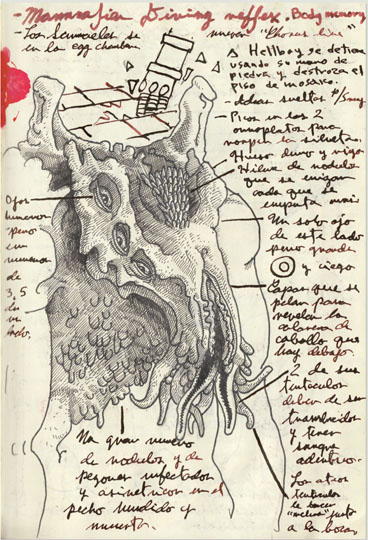 Cabinet of Curiosities: My Notebooks, Collections, and Other Obsessions _199.jpg