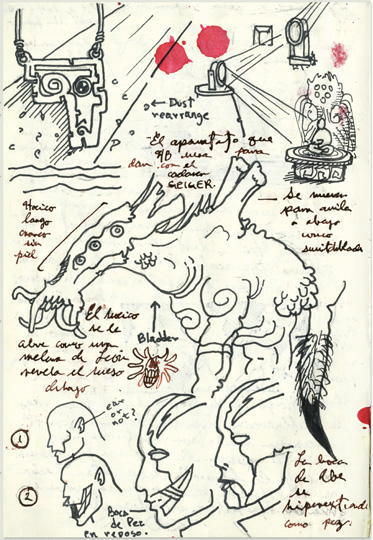 Cabinet of Curiosities: My Notebooks, Collections, and Other Obsessions _235.jpg