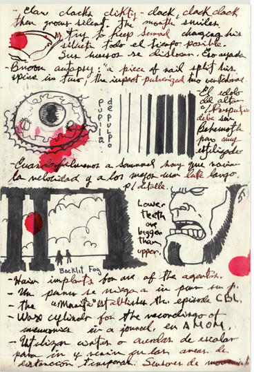 Cabinet of Curiosities: My Notebooks, Collections, and Other Obsessions _237.jpg
