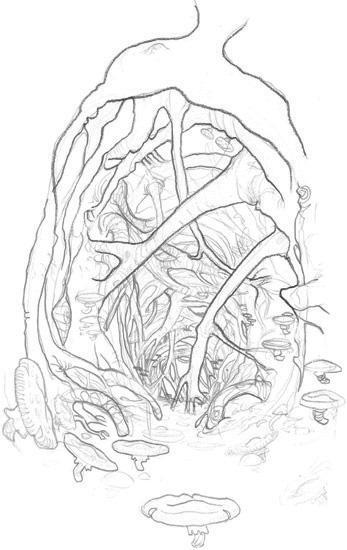 Cabinet of Curiosities: My Notebooks, Collections, and Other Obsessions _259.jpg